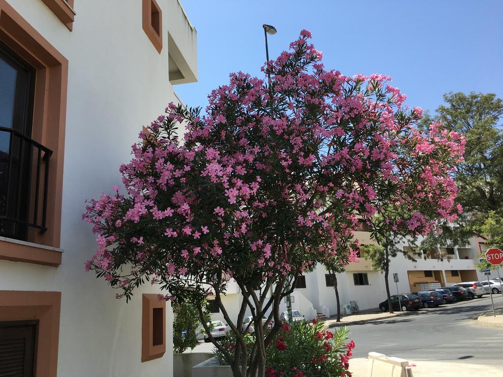 Lovely Beach Apartment Bellavista Albufeira Bagian luar foto